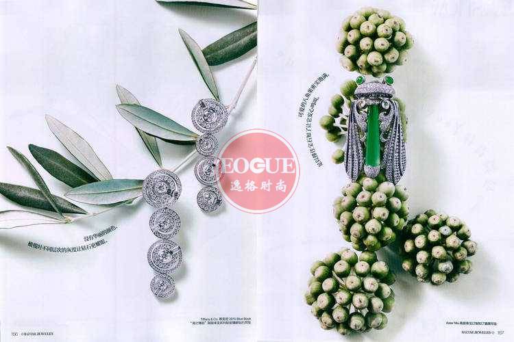 Bazaar Jewelry 香港专业珠宝杂志4月号 N1704