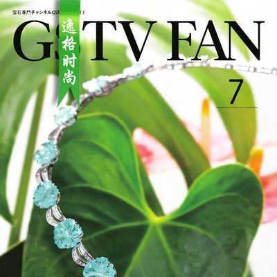 GSTV 日本专业珠宝首饰杂志7月号 N1907