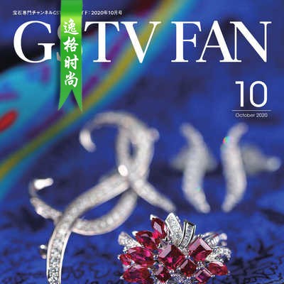 GSTV 日本专业珠宝首饰杂志10月号 N2010