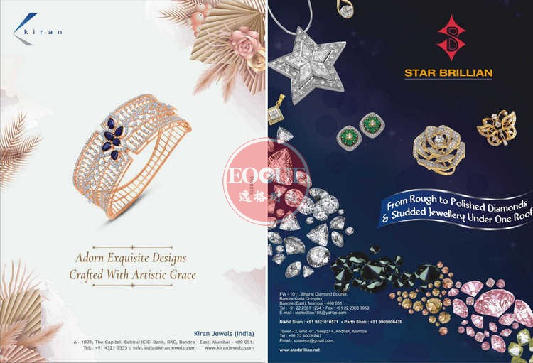 HZ 印度珠宝腕表首饰设计杂志11月号 N2011