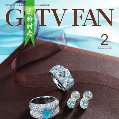 GSTV 日本专业珠宝首饰杂志2月号 N2102