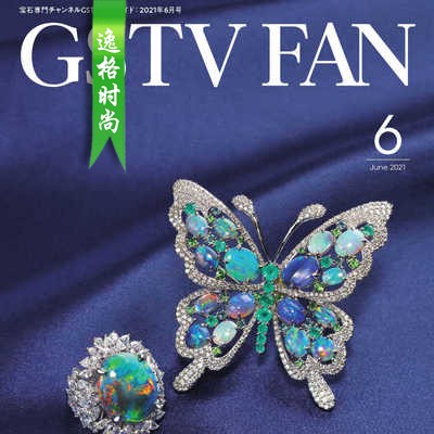 GSTV 日本专业珠宝首饰杂志6月号 N2106