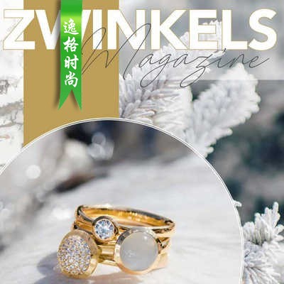 Zwinkels 荷兰珠宝首饰专业杂志产品合集 N21