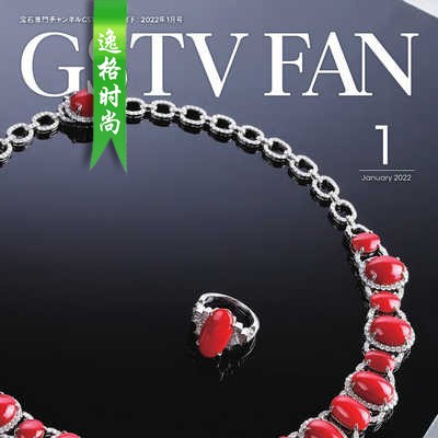 GSTV 日本专业珠宝首饰杂志1月号 N2201