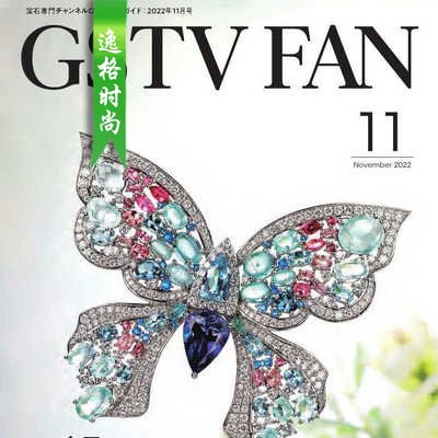 GSTV 日本专业珠宝首饰杂志11月号 N2211