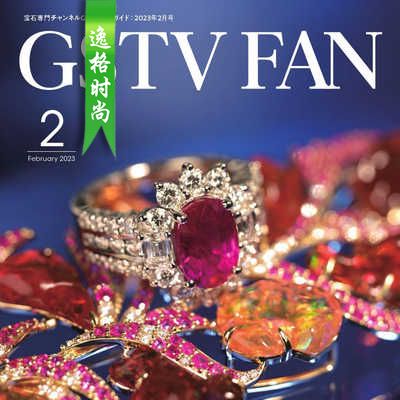 GSTV 日本专业珠宝首饰杂志2月号 N2302