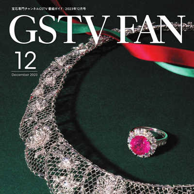 GSTV 日本专业珠宝首饰杂志12月号 N2312