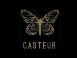Casteur